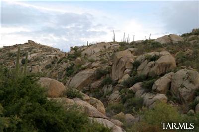 65710 East Edwin Road Tucson, AZ 85739 - Photo 15 of 17 Gallery Image 15
