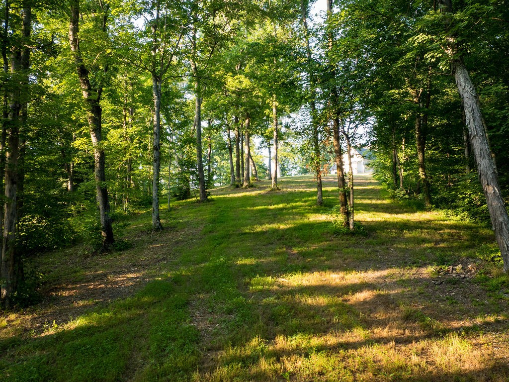3809 Boston Theta Road Columbia, TN 38401 - Photo 63 of 74