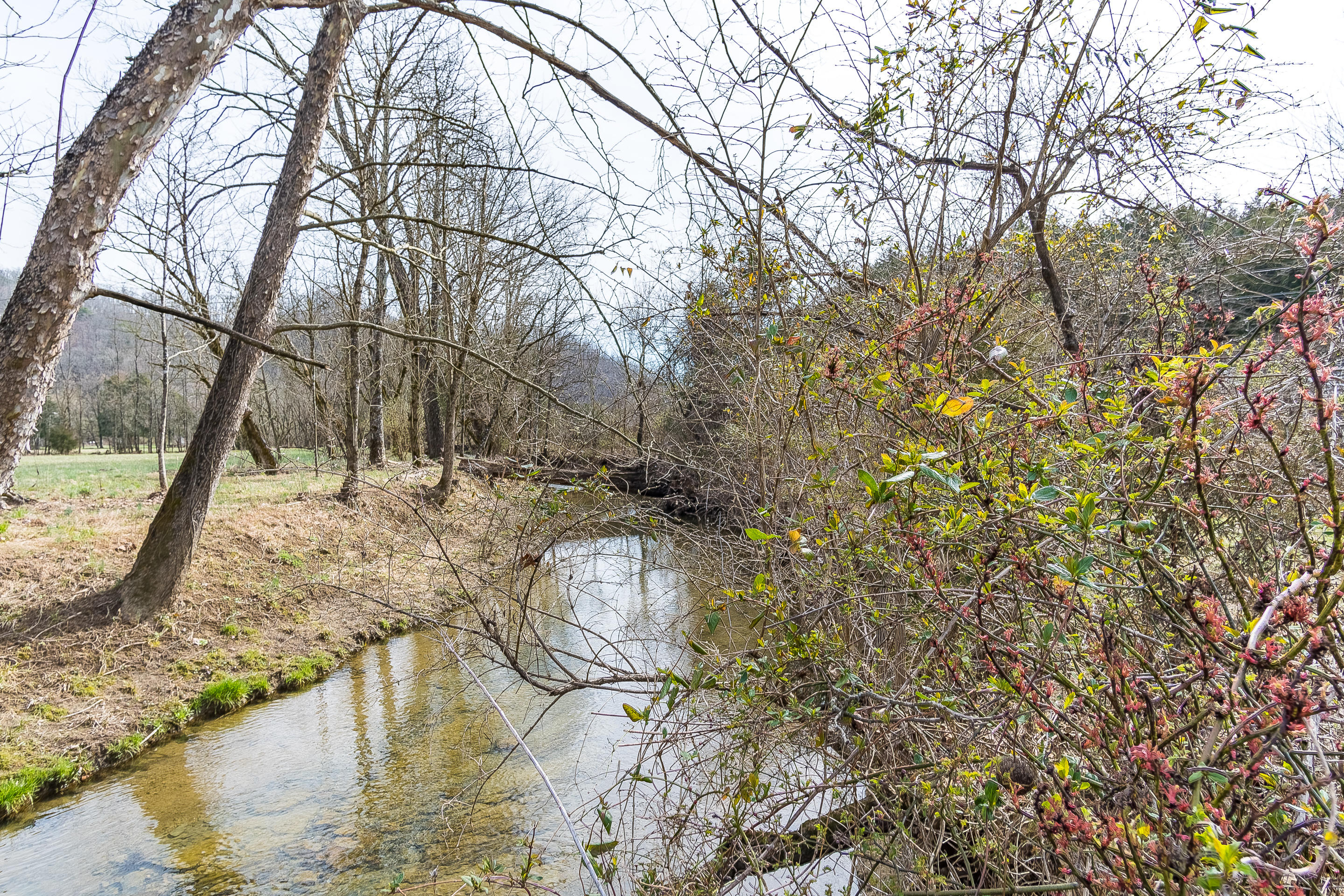 448 Garland Branch Road Watauga, TN 37694 - Photo 28 of 34 28