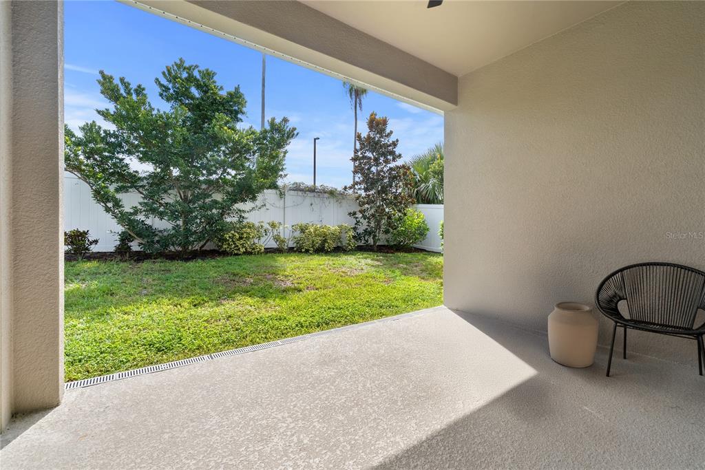 16409 Lucia Gardens Lane Tampa, FL 33625 - Photo 29 of 48 a view of a backyard with potted plants and floor to ceiling window