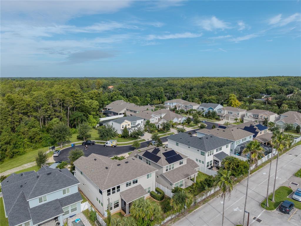 16409 Lucia Gardens Lane Tampa, FL 33625 - Photo 36 of 48 an aerial view of residential house with outdoor space