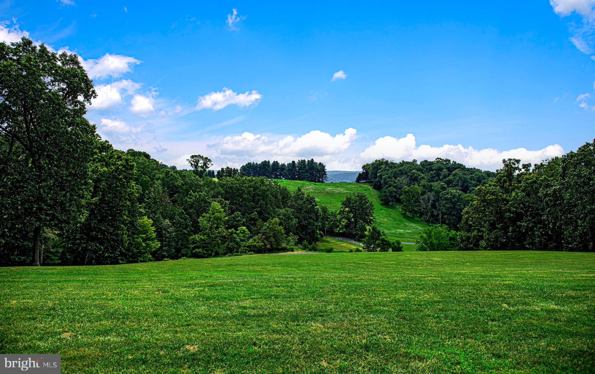 1331 Falling Branch Road Pylesville, MD 21132 - Photo 23 of 55 Gallery Image 23
