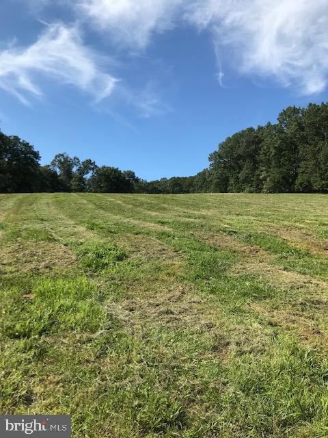 1331 Falling Branch Road Pylesville, MD 21132 - Photo 45 of 55 Gallery Image 45