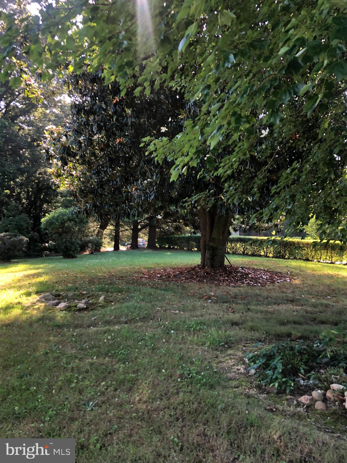 11181 Dahlgren Road King George, VA 22485 - Photo 3 of 16