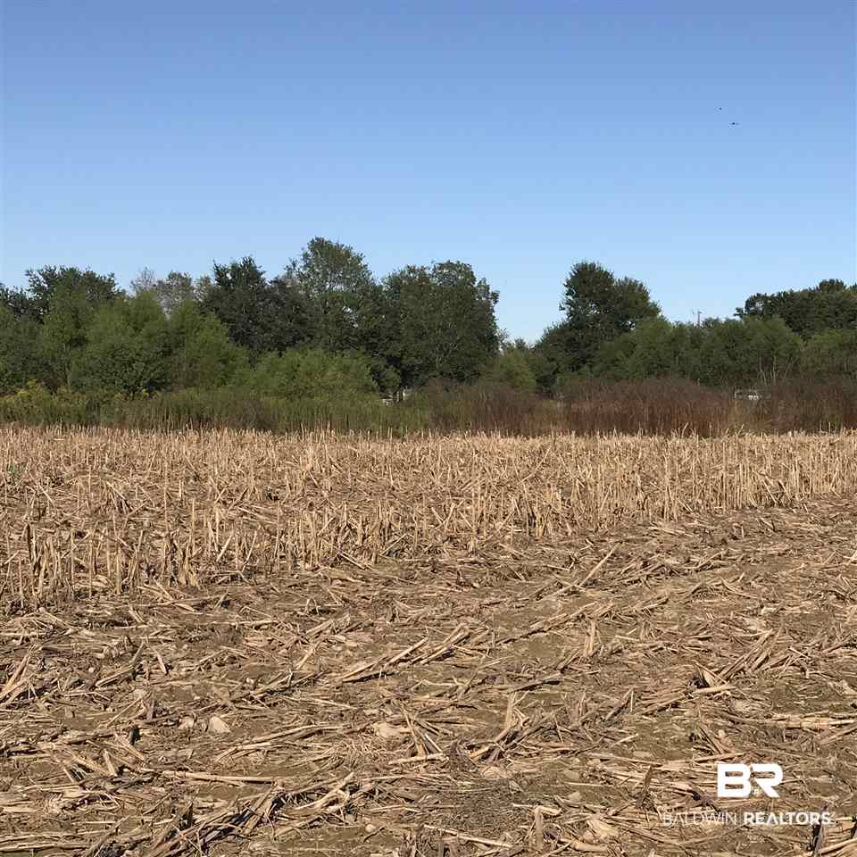 Langforoad Road Fairhope, AL 36532 - Photo 6 of 9