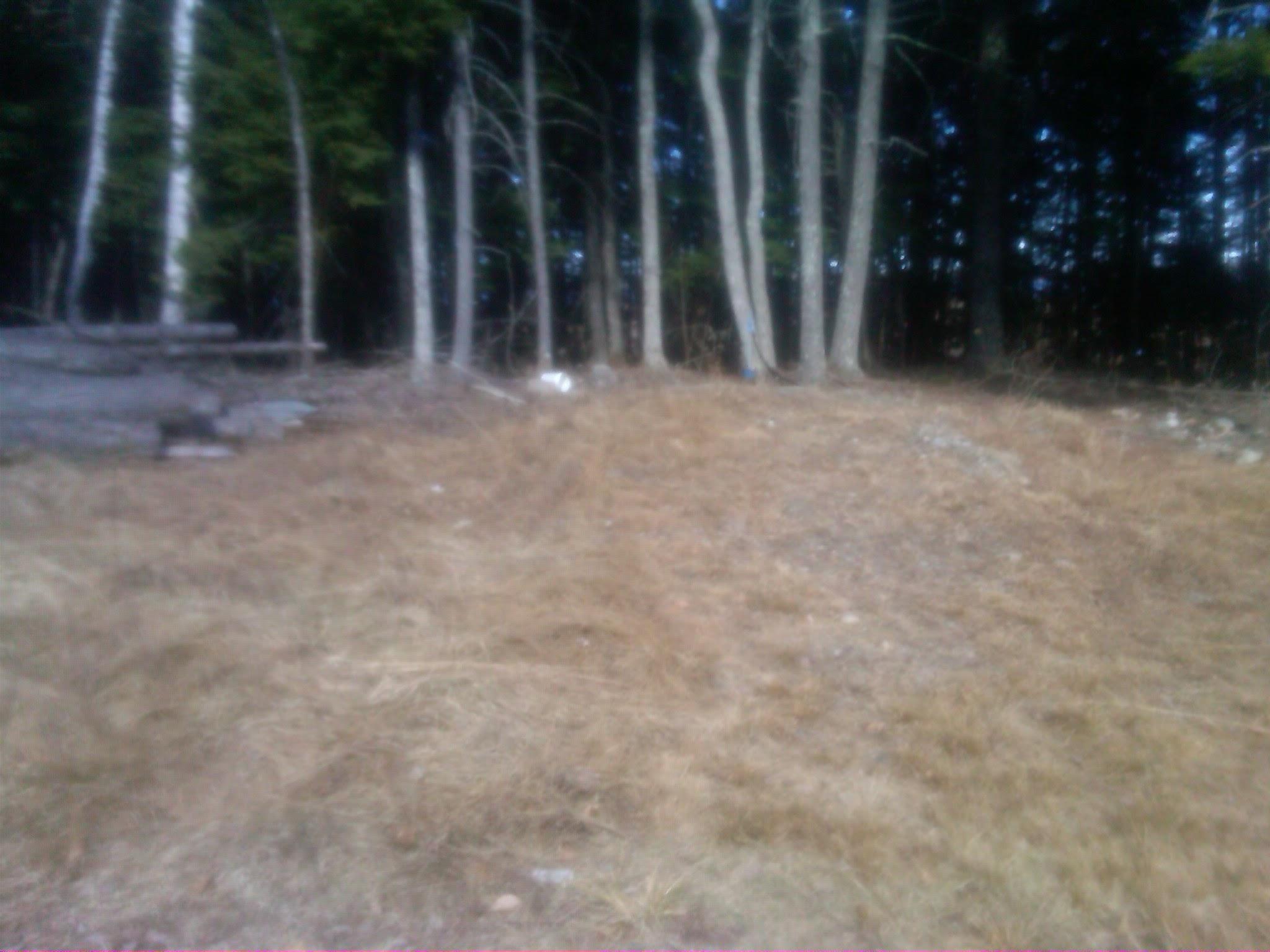 3 Heath Road Mariaville, ME 04605 - Photo 5 of 12 IMG-20120406-00528