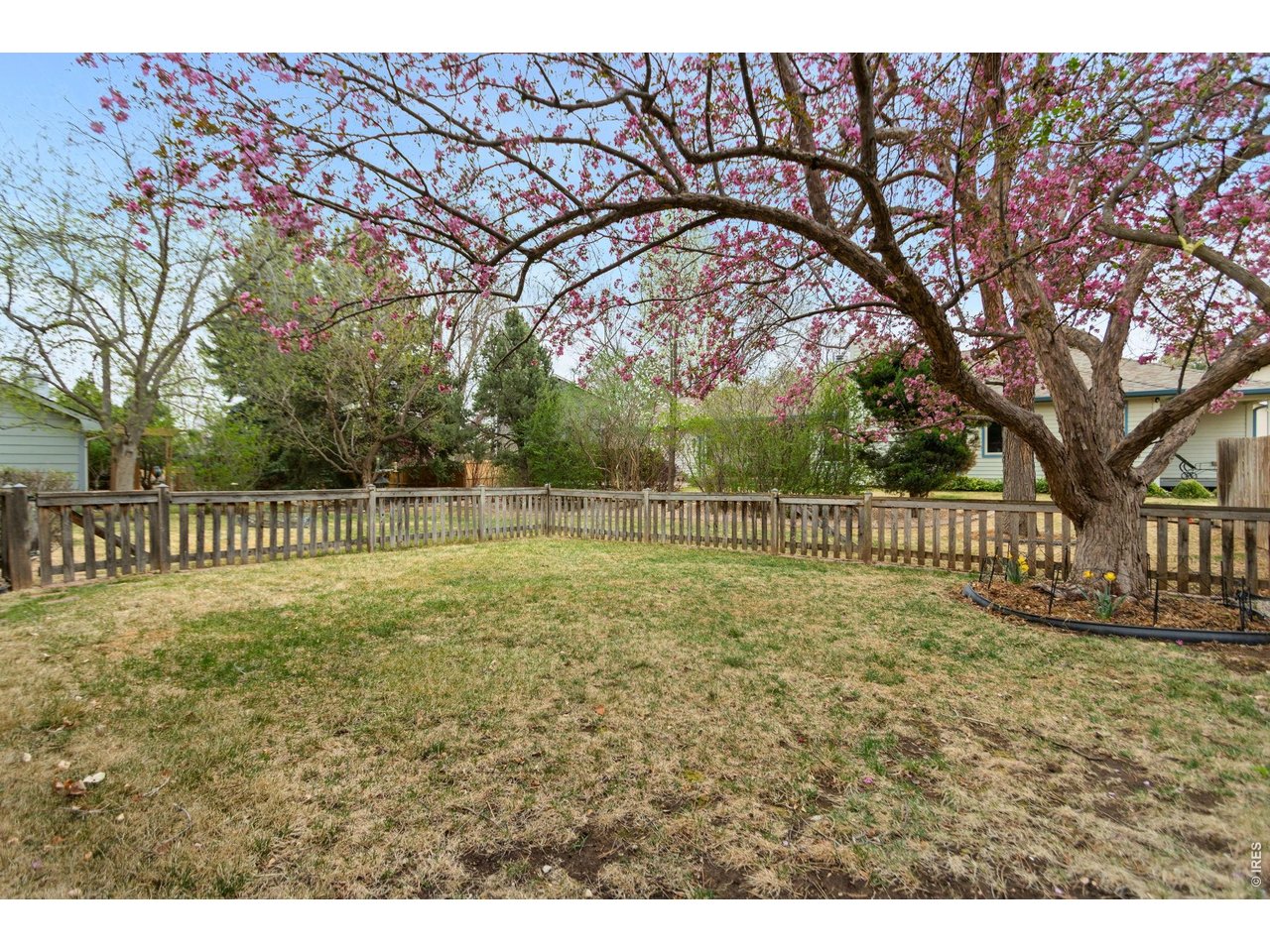 1707 Centennial Road Fort Collins, CO 80525 - Photo 28 of 36 Gallery Image 28