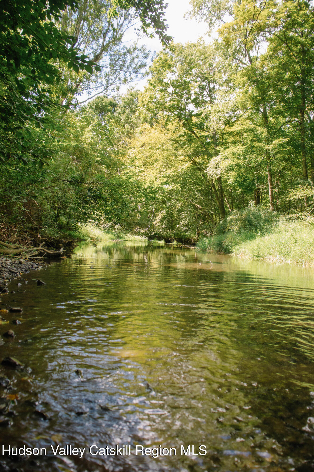 Photo Aug 30 2025, 12 41 35 PM