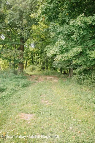 a view of a dry yard with wooden fence