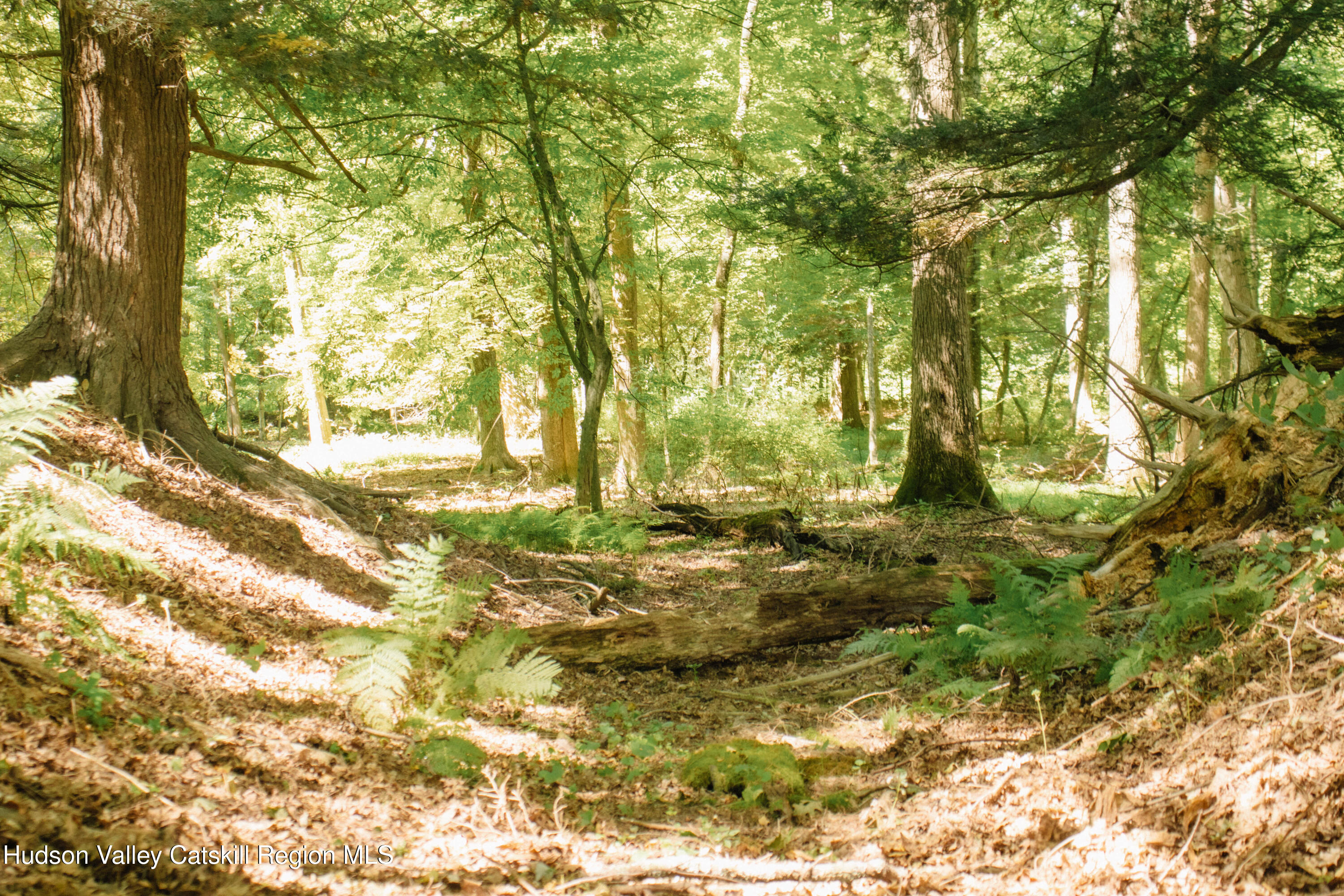 0 Copake Lake Road Hillsdale, NY 12529 - Photo 15 of 55 Photo Aug 30 2025, 12 34 48 PM