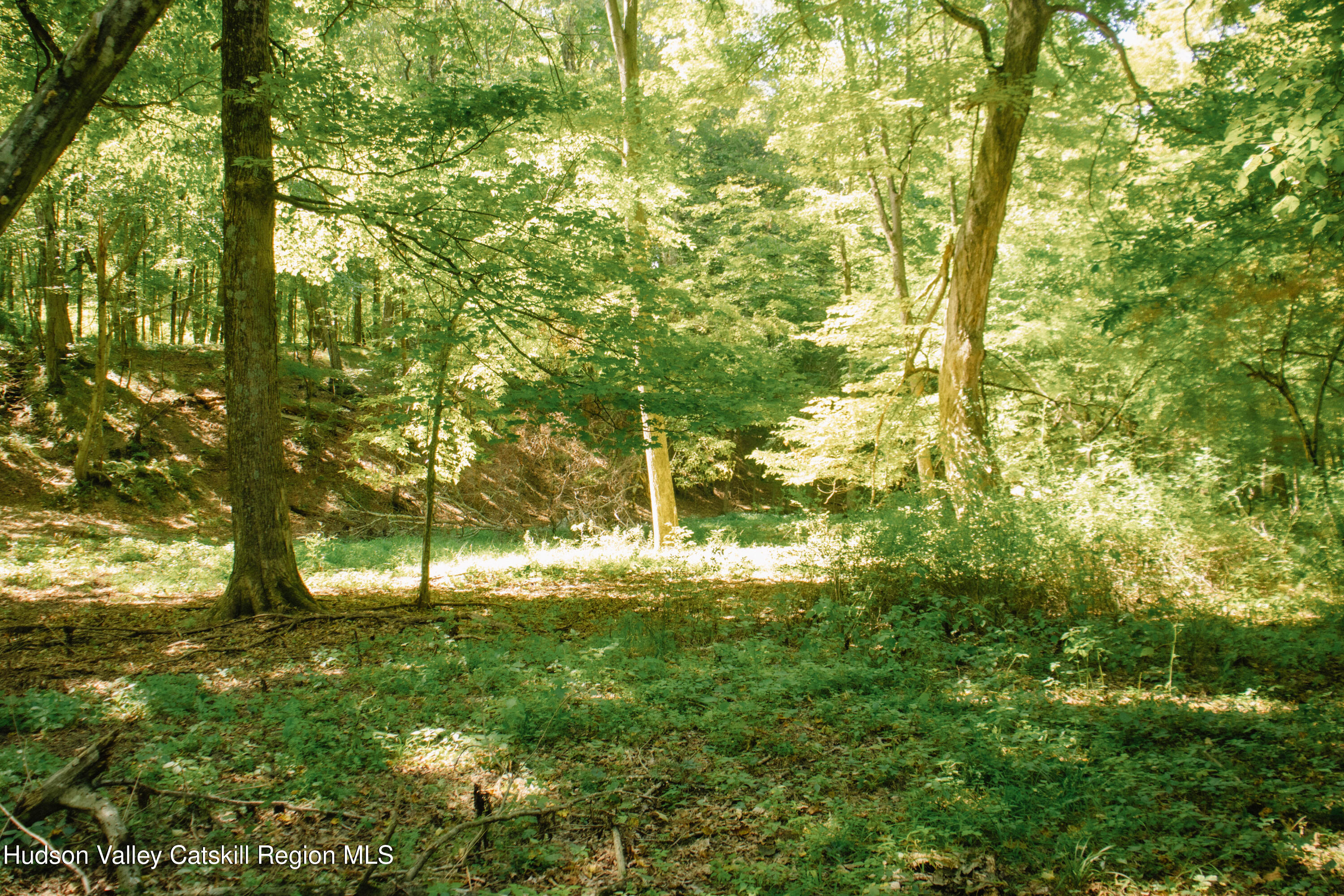 0 Copake Lake Road Hillsdale, NY 12529 - Photo 16 of 55 Photo Aug 30 2025, 12 36 32 PM