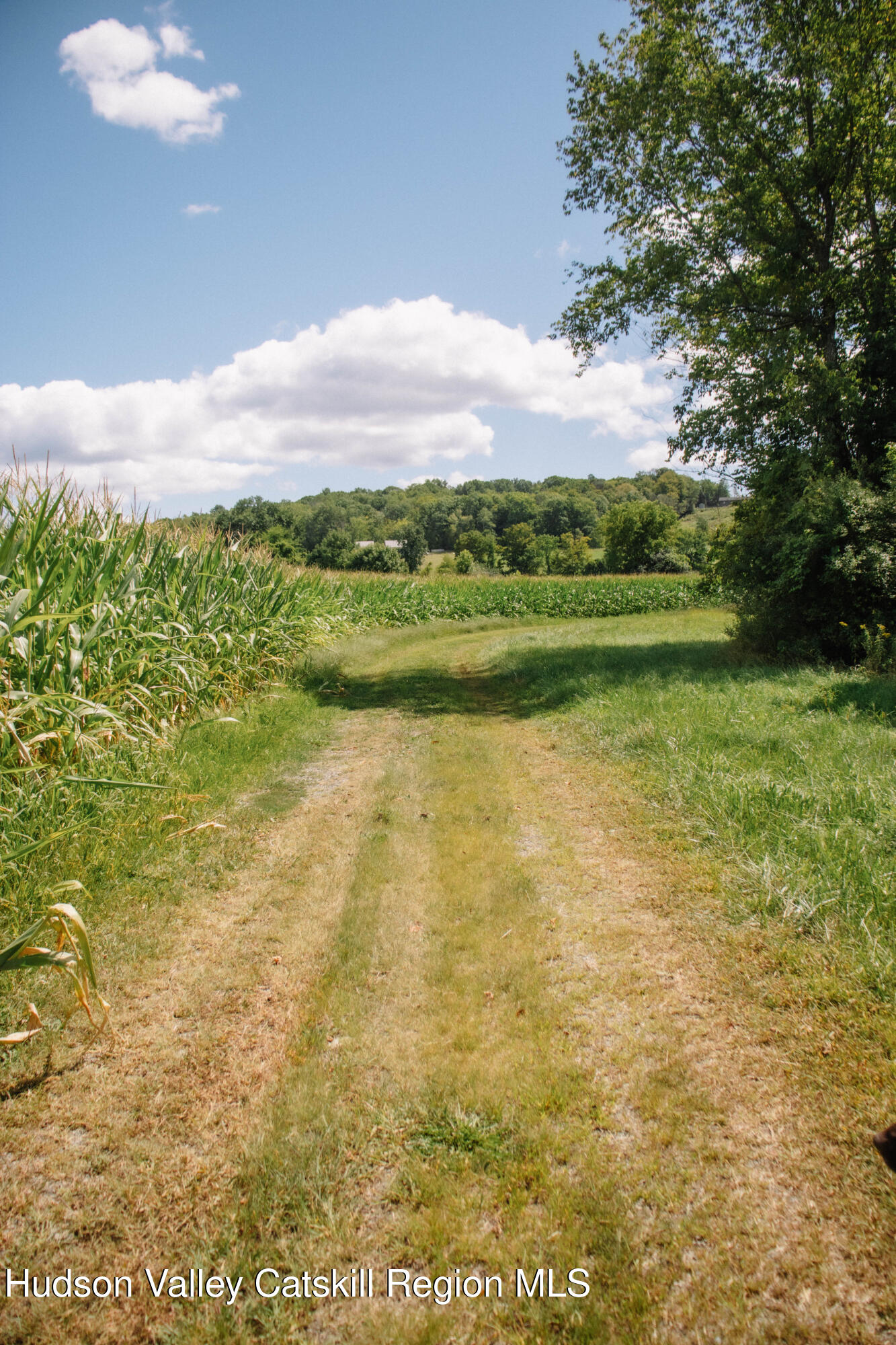 0 Copake Lake Road Hillsdale, NY 12529 - Photo 2 of 55 Photo Aug 30 2025, 12 05 40 PM