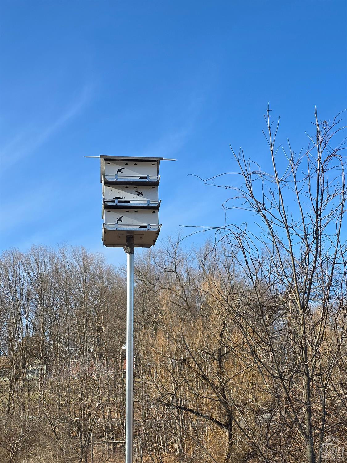 0 Copake Lake Road Hillsdale, NY 12529 - Photo 22 of 55 a view of a dry yard with wooden fence