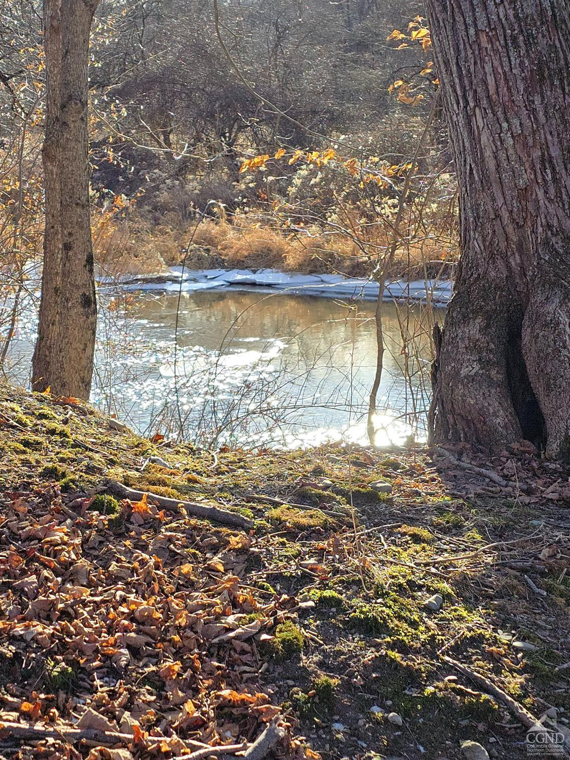 0 Copake Lake Road Hillsdale, NY 12529 - Photo 30 of 55 Photo 14