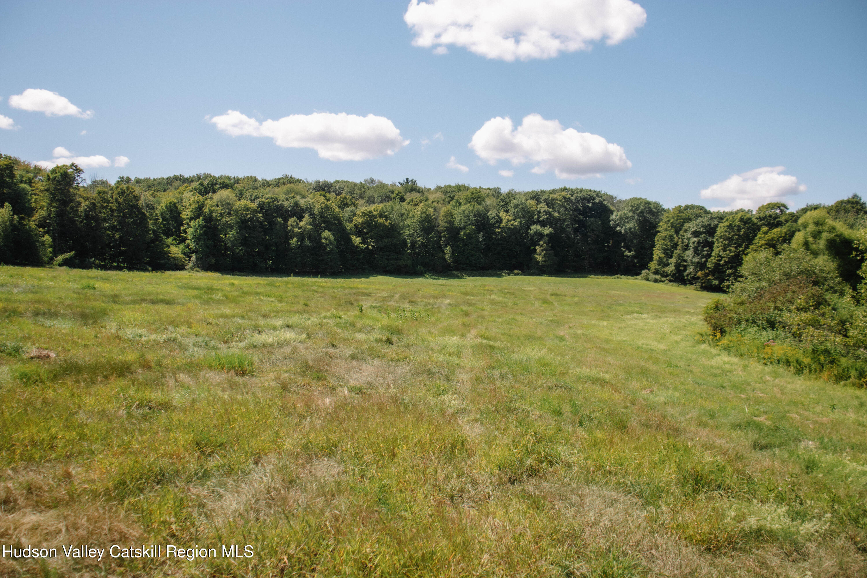 0 Copake Lake Road Hillsdale, NY 12529 - Photo 3 of 55 a view of an outdoor space and a yard