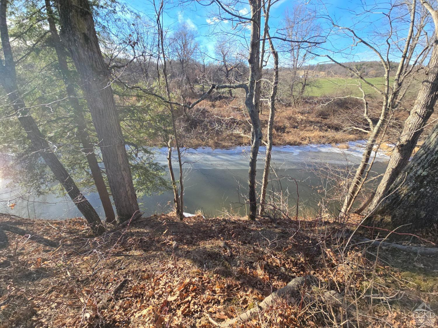 0 Copake Lake Road Hillsdale, NY 12529 - Photo 32 of 55 a view of a yard