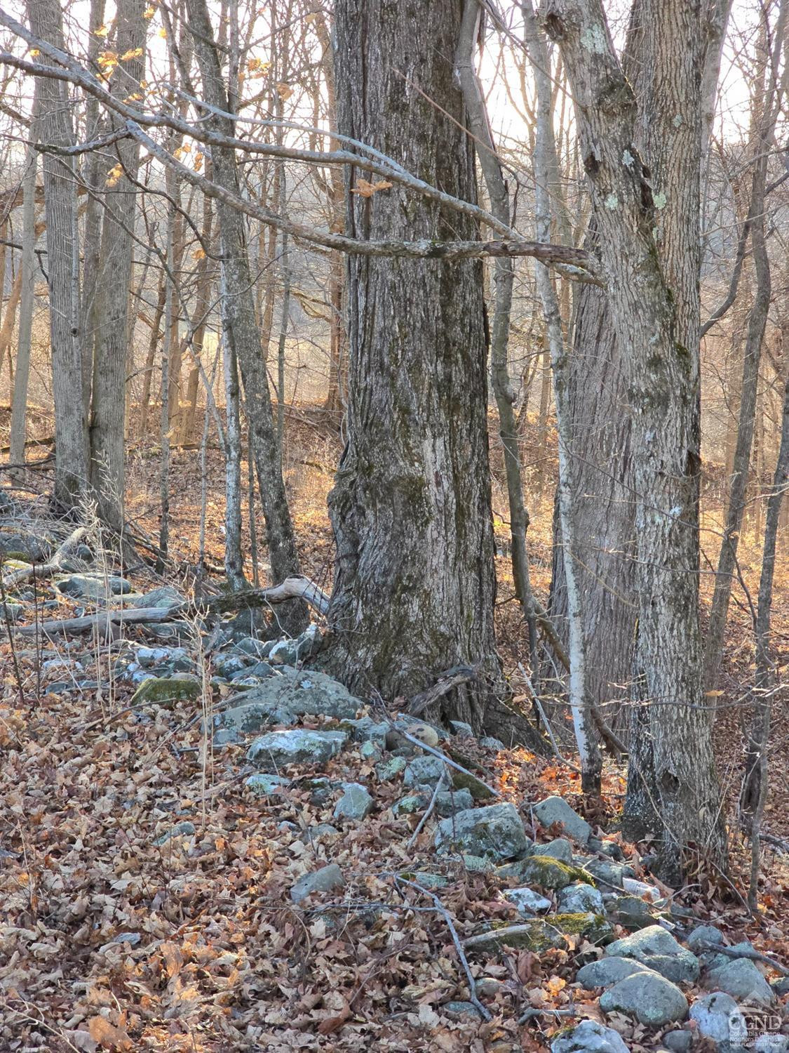 0 Copake Lake Road Hillsdale, NY 12529 - Photo 35 of 55 a backyard of a house with lots of green space