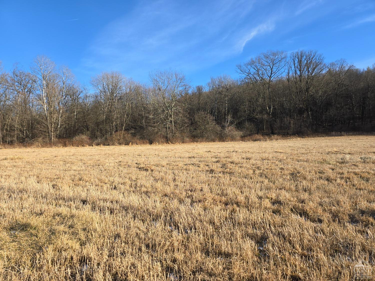 0 Copake Lake Road Hillsdale, NY 12529 - Photo 38 of 55 a view of snow covered with snow