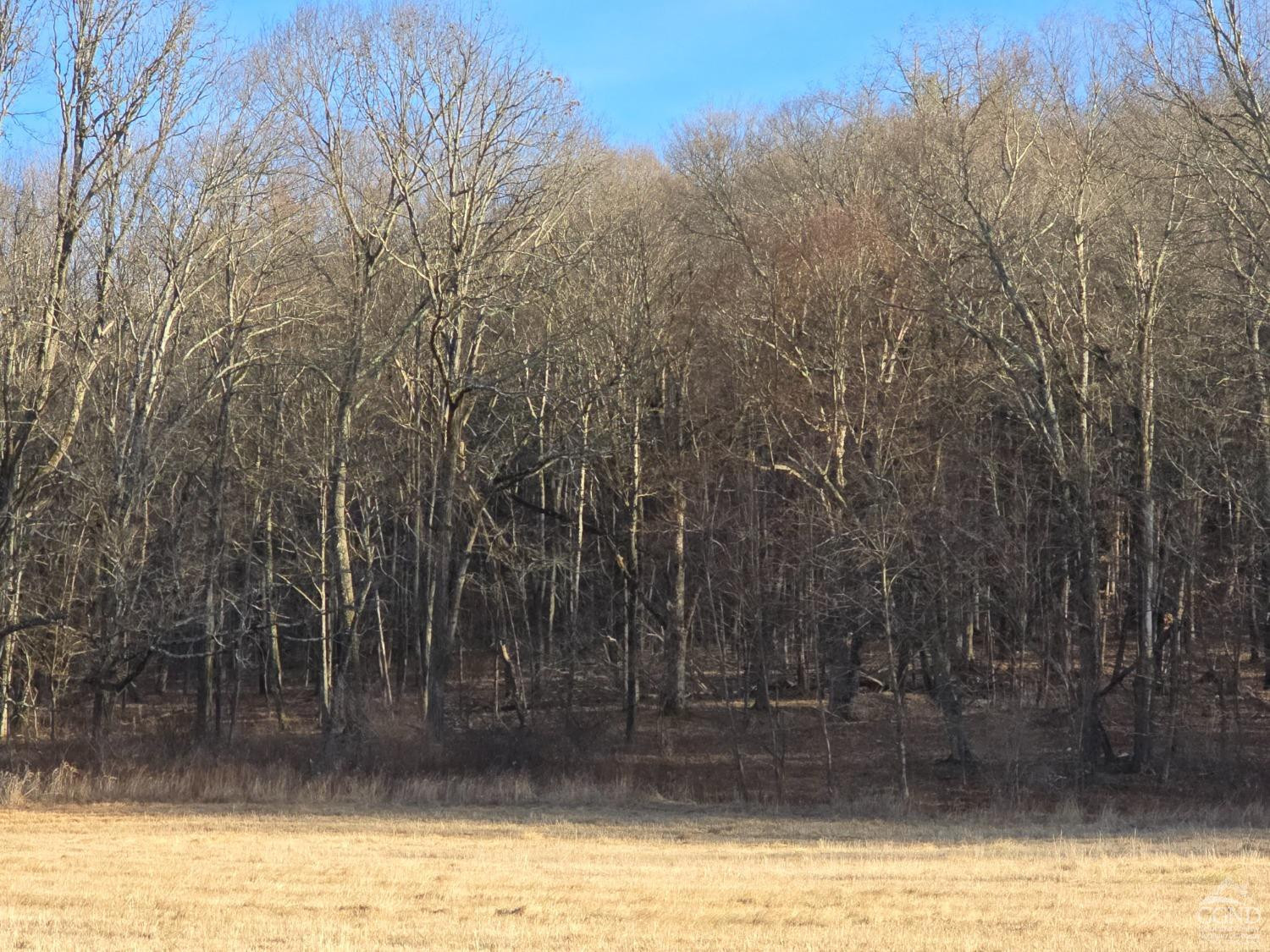 0 Copake Lake Road Hillsdale, NY 12529 - Photo 40 of 55 a view of swimming pool with a yard