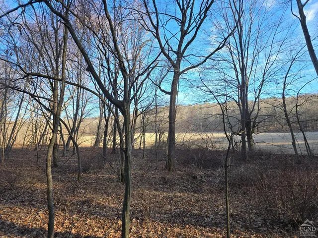 $465,000 | 0 Copake Lake Road, Hillsdale, NY 12529