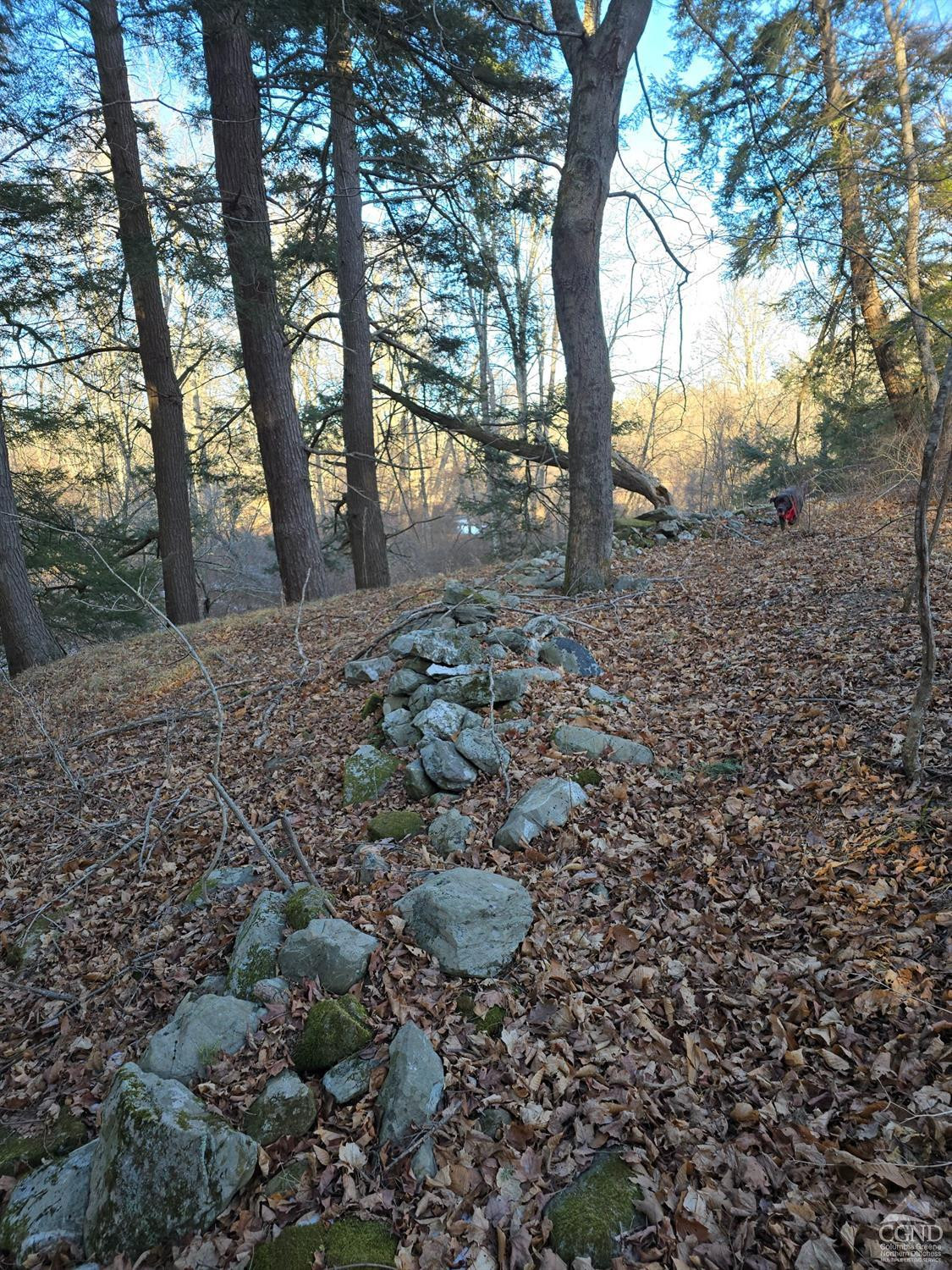 0 Copake Lake Road Hillsdale, NY 12529 - Photo 44 of 55 Photo 31