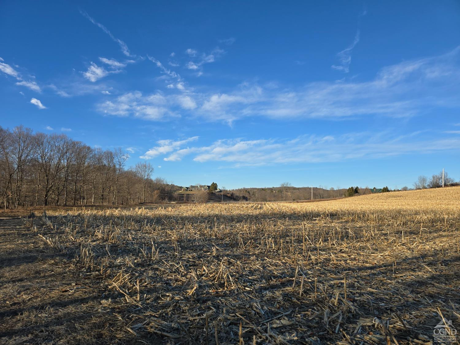 0 Copake Lake Road Hillsdale, NY 12529 - Photo 52 of 55 a view of an ocean
