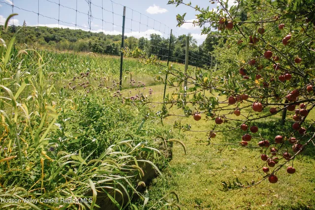 a view of outdoor space with deck and yard