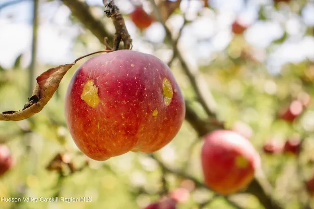 a view of swimming pool and mountain view
