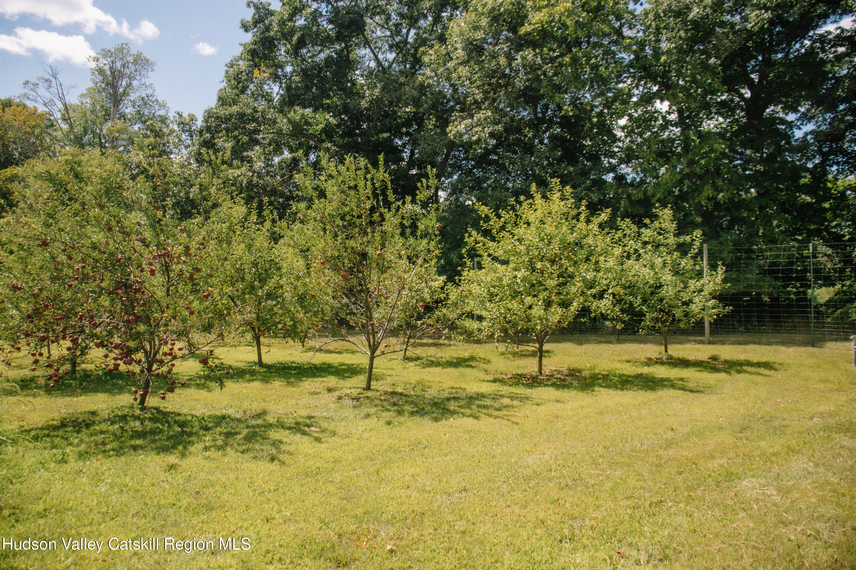 0 Copake Lake Road Hillsdale, NY 12529 - Photo 9 of 55 a view of a yard with an trees