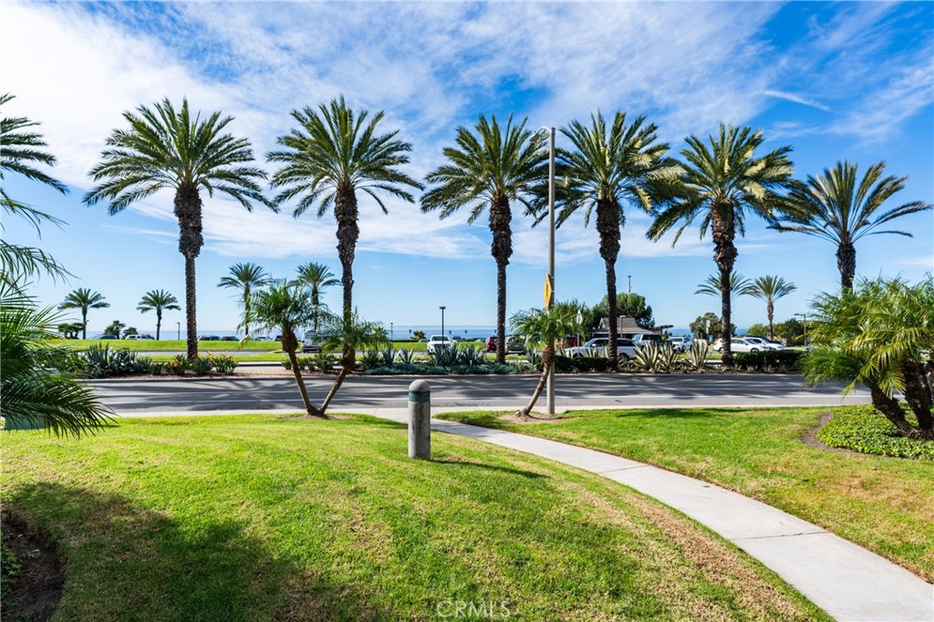 34004 Selva Road, Unit 384 Dana Point, CA 92629 - Photo 31 of 35 a view of a yard and palm trees