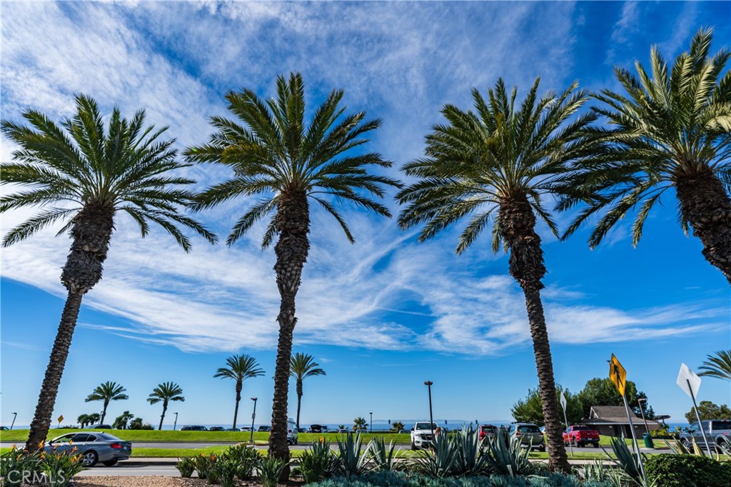 34004 Selva Road, Unit 384 Dana Point, CA 92629 - Photo 5 of 35 a view of outdoor space with palm trees