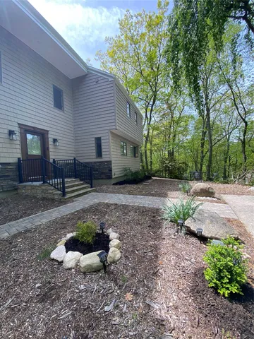 a view of a backyard with plants and large tree