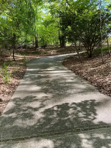 a view of a yard with a large tree