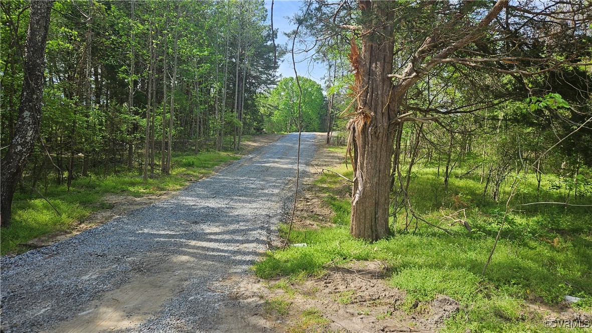 2255 Holly Farms Road Rice, VA 23966 - Photo 12 of 23 Gallery Image 12