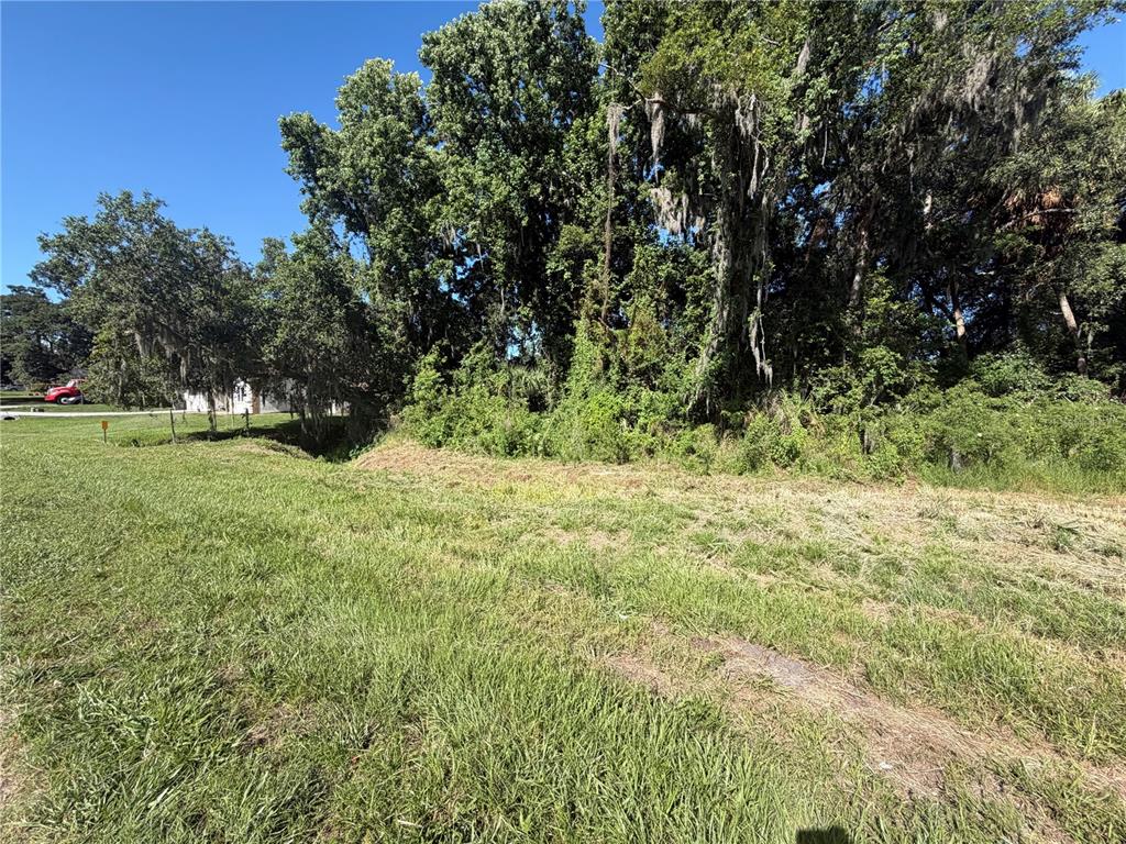 Dossey Road South Lakeland, FL 33811 - Photo 2 of 10 a view of a yard with a tree