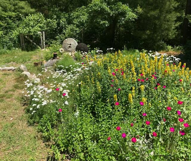 84 Popple Bottom Road Sandwich, MA 02537 - Photo 34 of 41 Yard