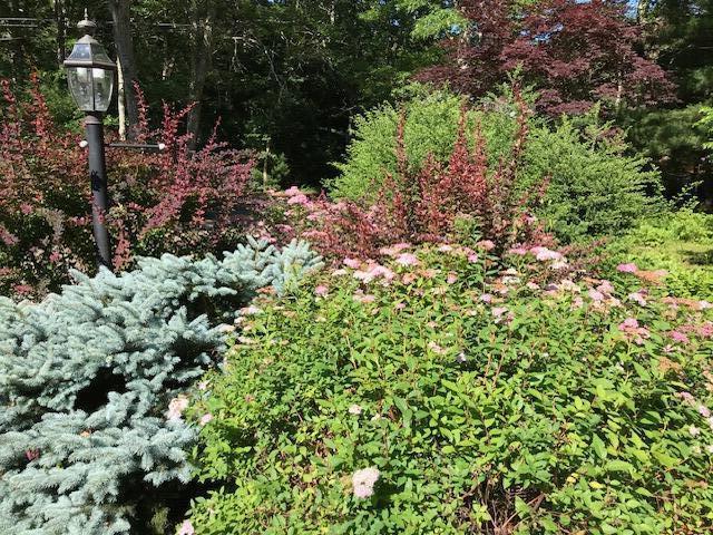 84 Popple Bottom Road Sandwich, MA 02537 - Photo 36 of 41 f0247581-1ac4-4043-a081-14f4e4081036