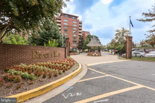 a view of a park with large trees