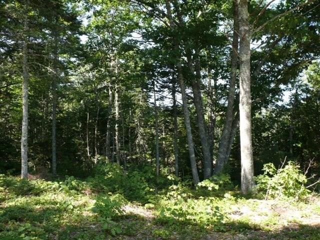 2-7 Moyer Way Gouldsboro, ME 04607 - Photo 16 of 33 Photo