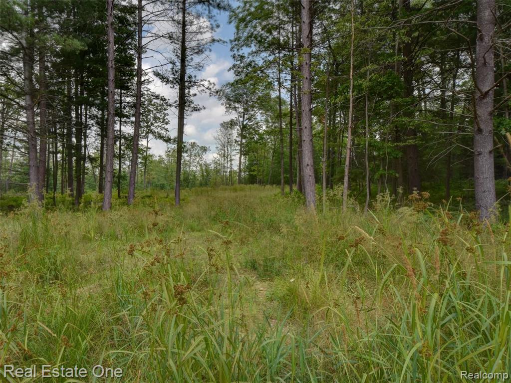 0 South Morrison Road West Branch, MI 48661 - Photo 11 of 38
