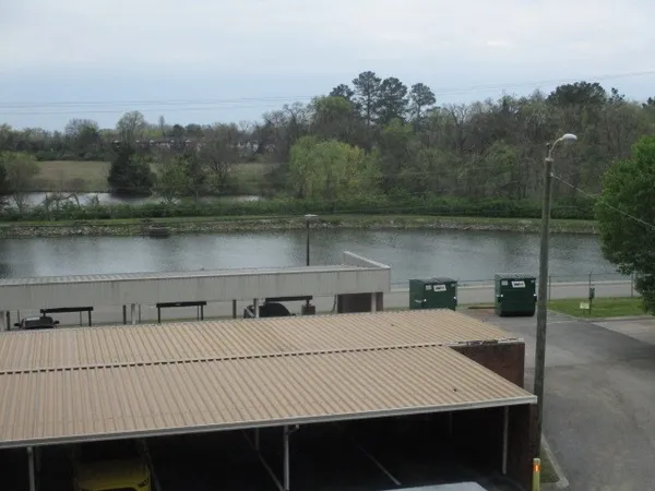 a view of river and trees in the background