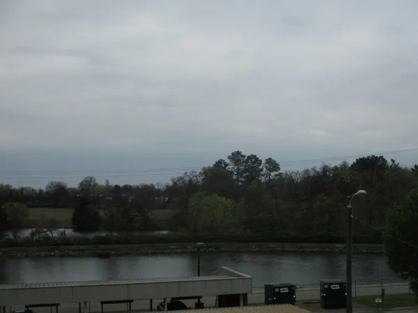 a view of a lake in middle of forest