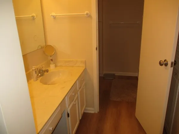 a bathroom with a sink and mirror