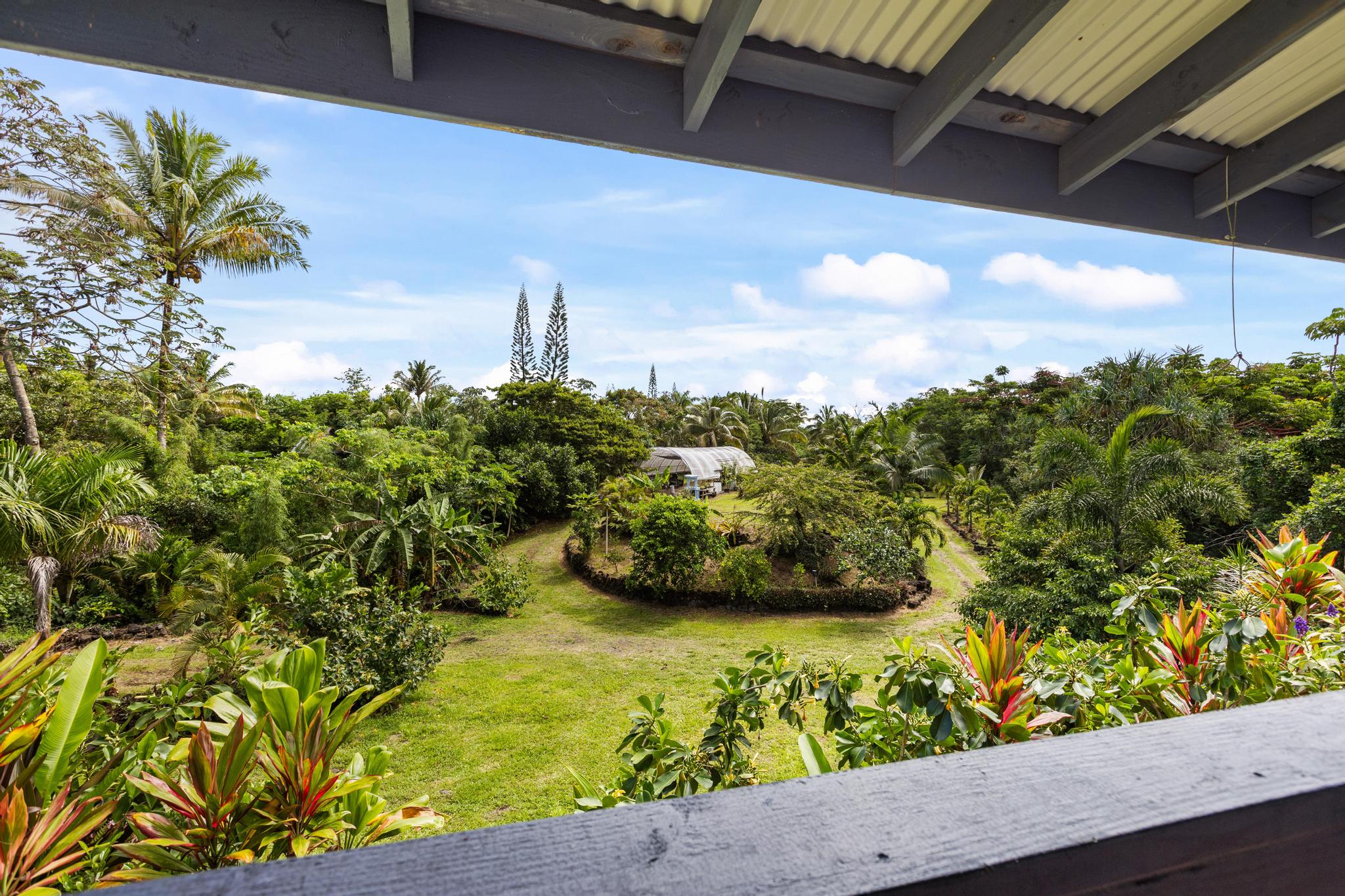 14-3734 Government Beach Road Pahoa, HI 96778 - Photo 11 of 26
