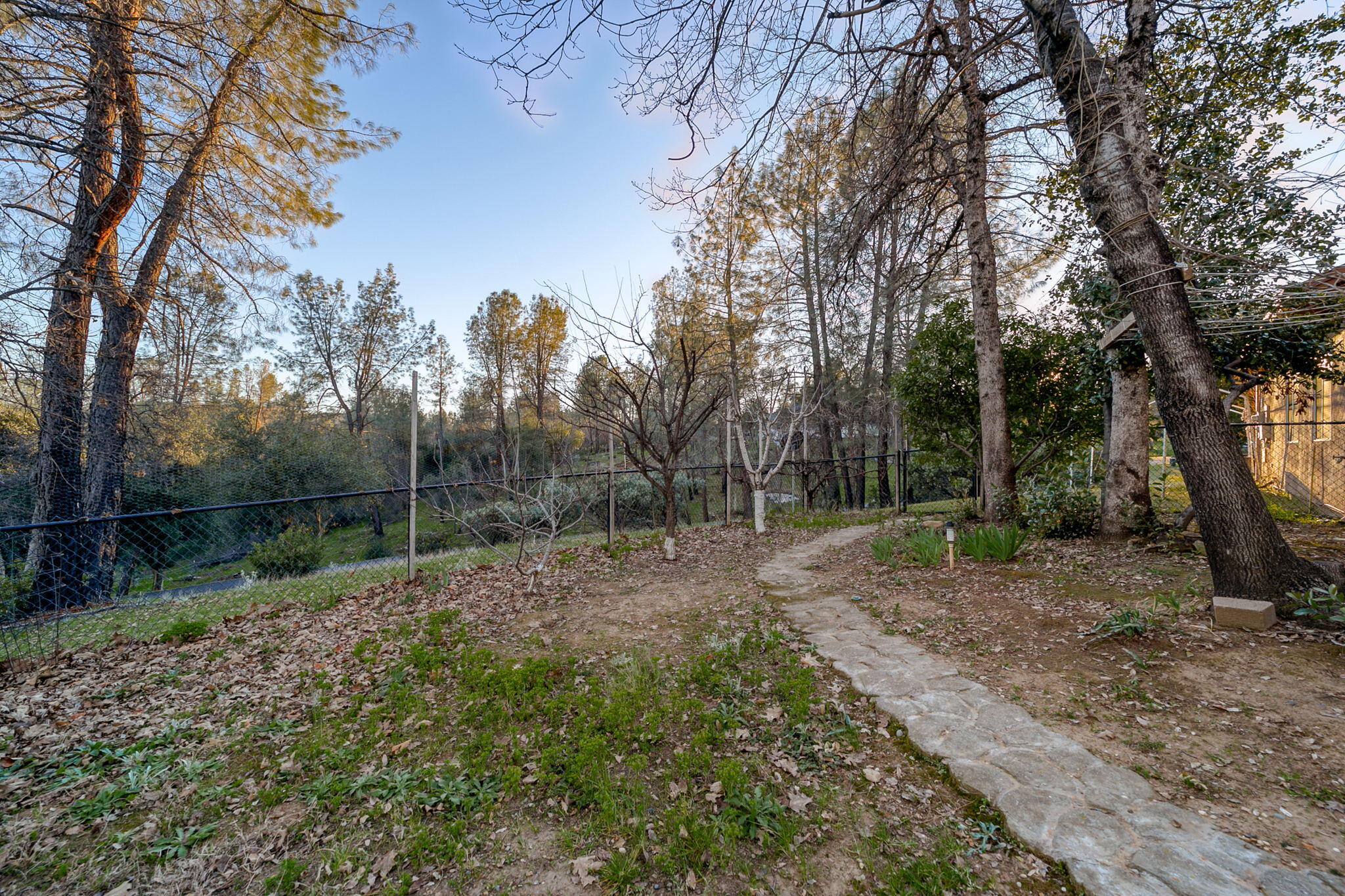 10370 White Star Road Redding, CA 96001 - Photo 31 of 35 backyard