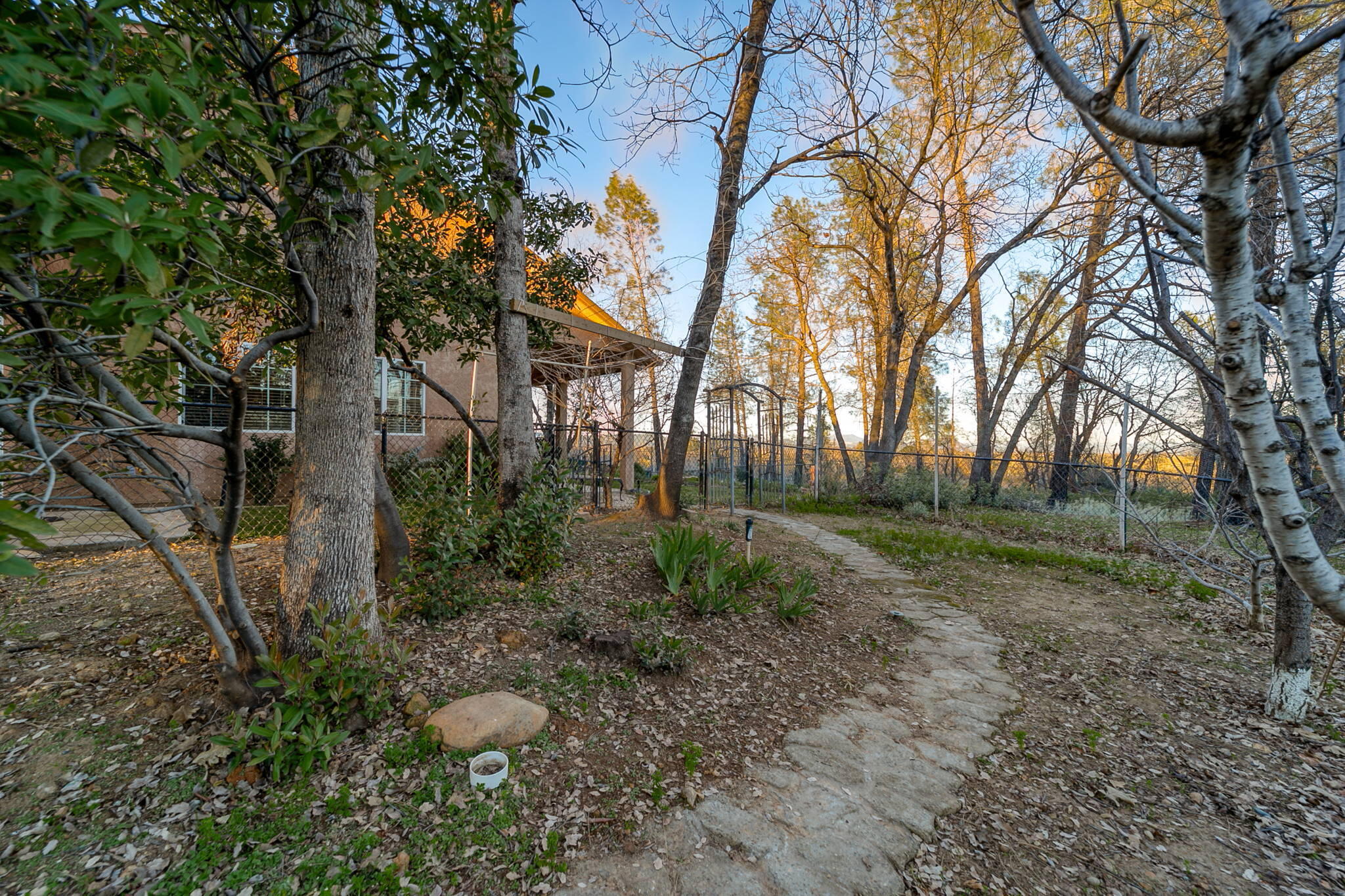 10370 White Star Road Redding, CA 96001 - Photo 32 of 35 backyard
