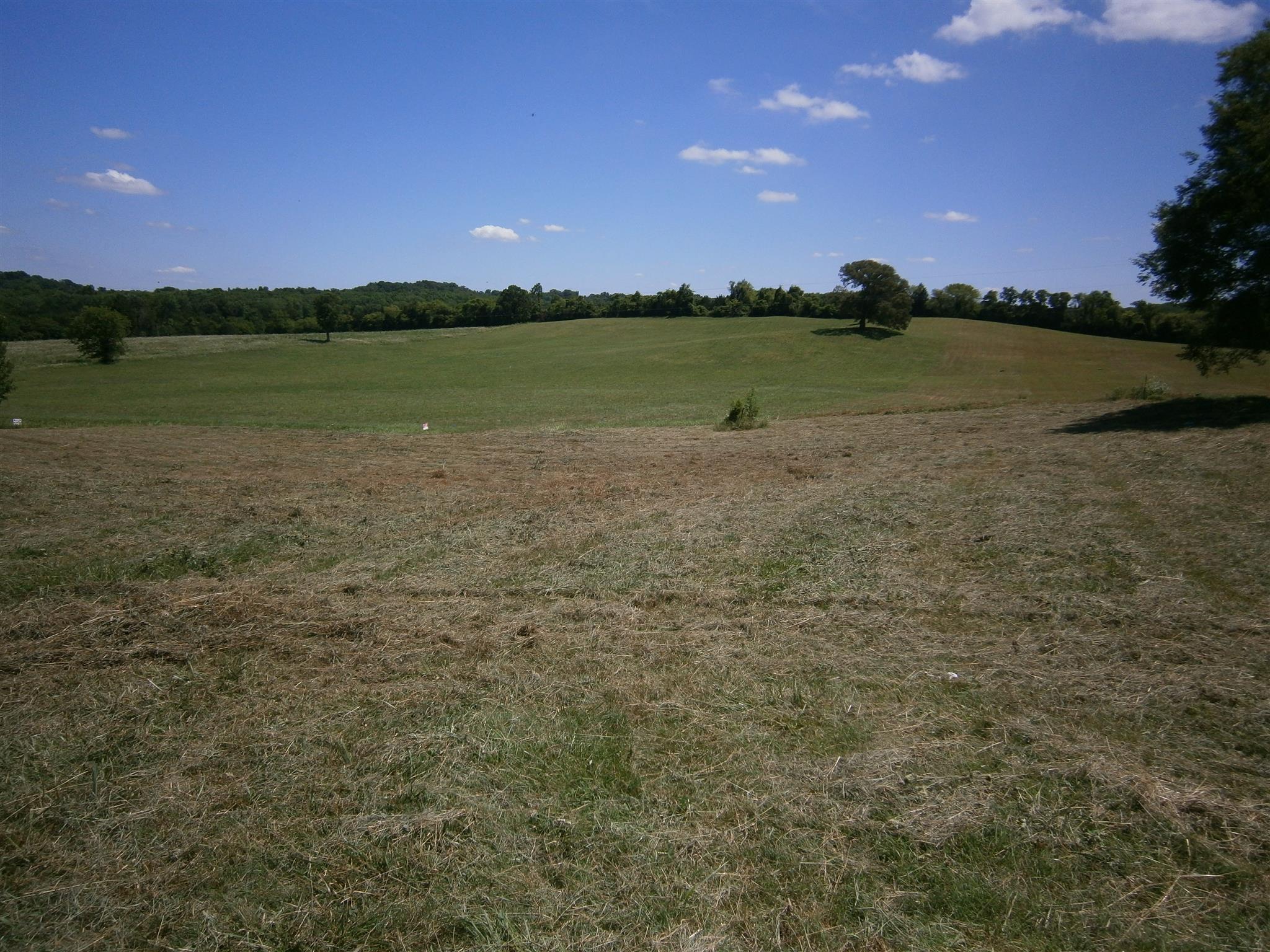 1000 Callis Road Lebanon, TN 37090 - Photo 3 of 4