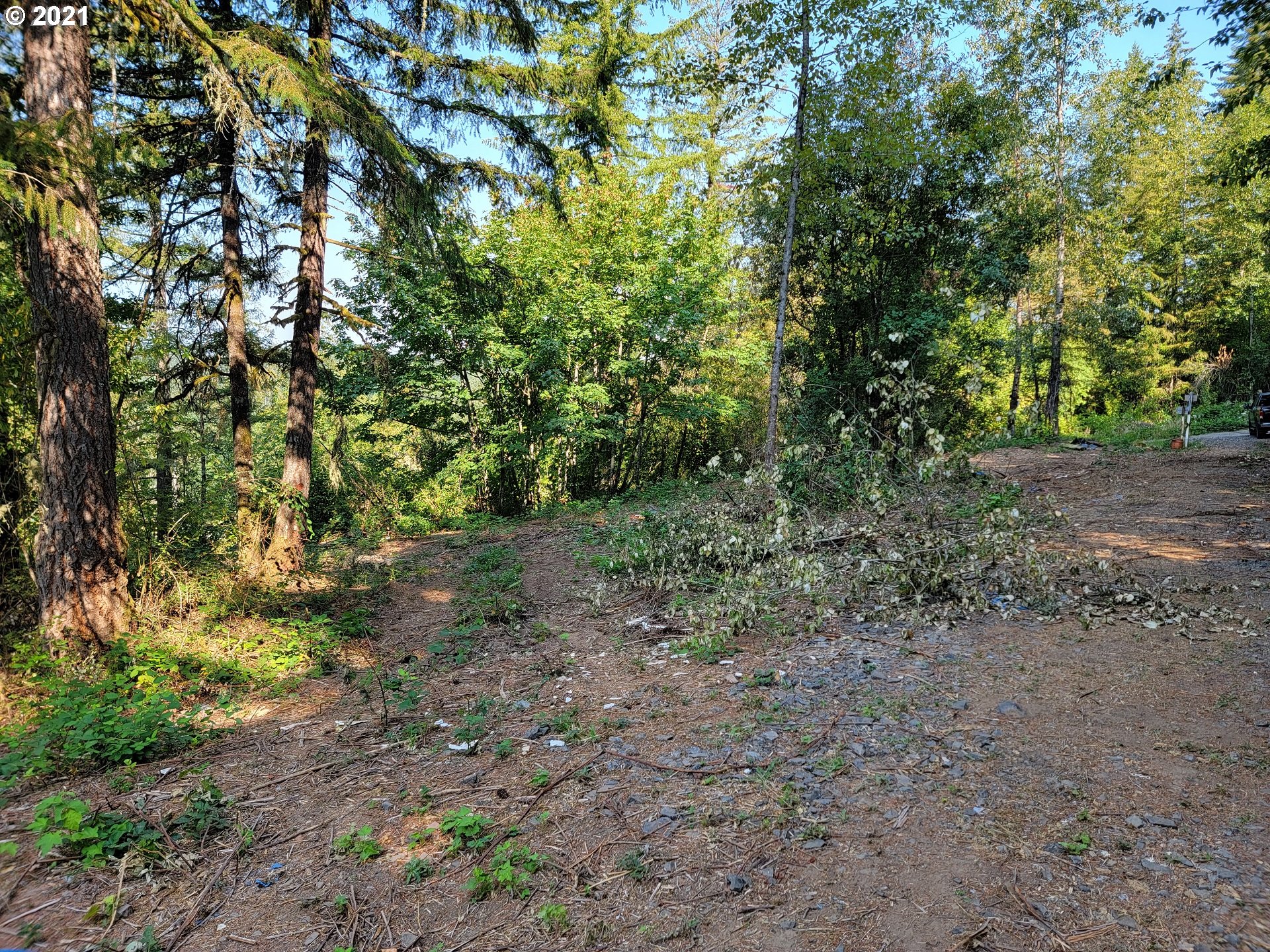 1 Northeast Lucia Falls Road Battle Ground, WA 98604 - Photo 20 of 23 Gallery Image 20