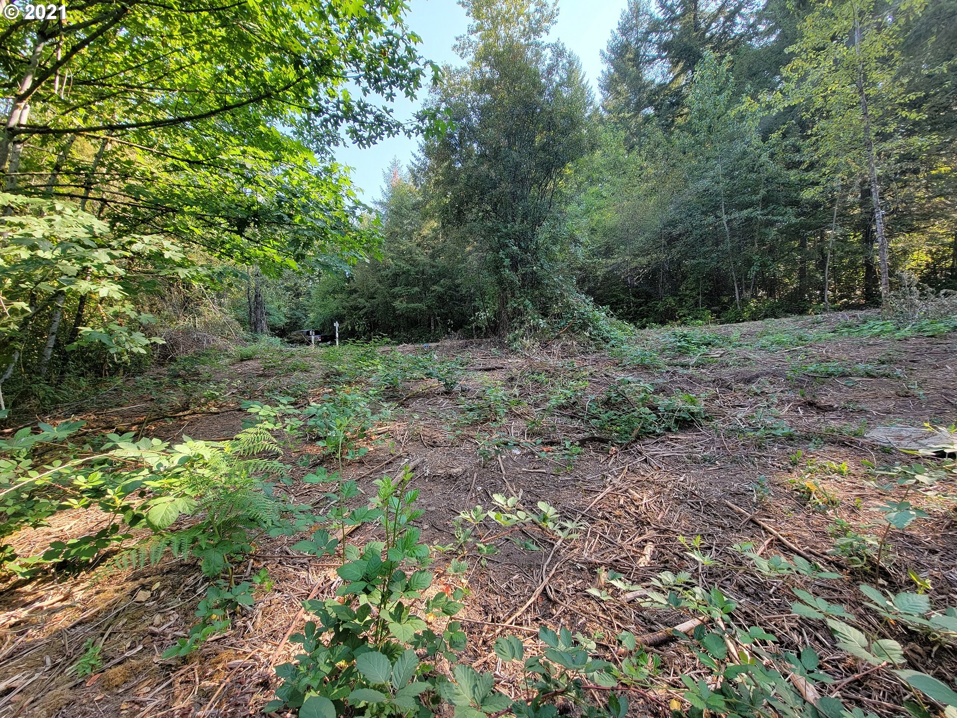 1 Northeast Lucia Falls Road Battle Ground, WA 98604 - Photo 21 of 23 Gallery Image 21