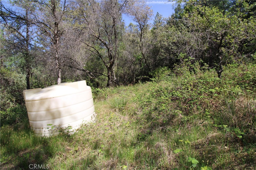0 Black Bart Road Oroville, CA 95966 - Photo 13 of 38